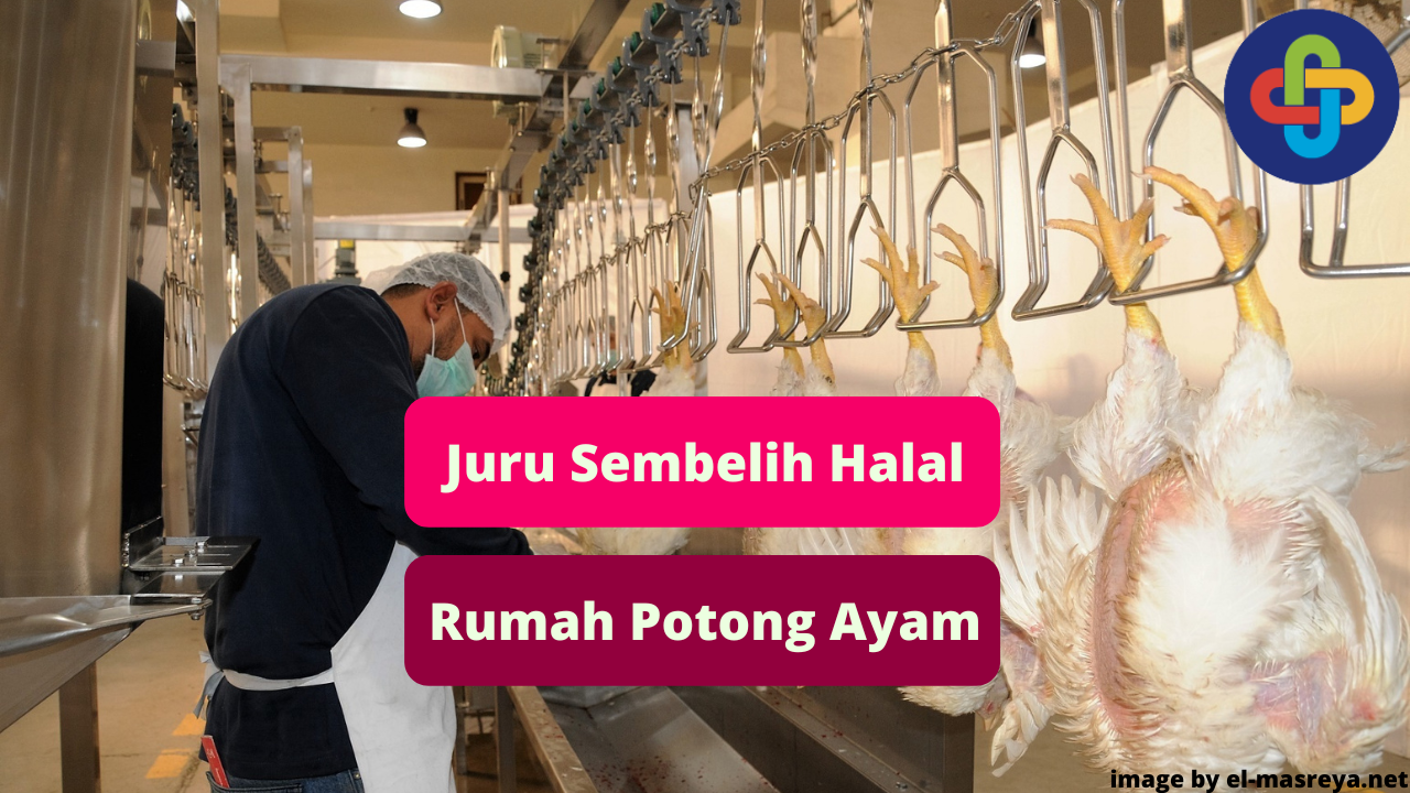 Berikut Peran Juru Sembelih Halal di Rumah Potong Ayam (RPA)